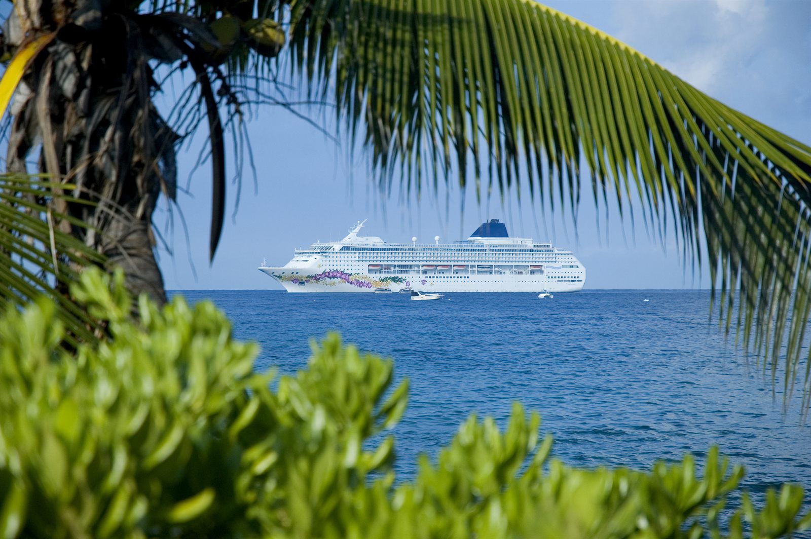 Cruise ship anchored offshore framed by palm fronds